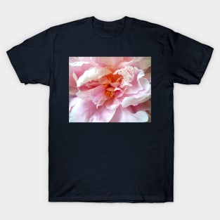 Closeup of Pale Pink Peonies T-Shirt